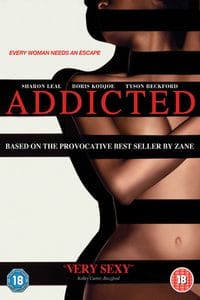 Download [18+] Addicted 2014 English 480p [450MB] | 720p [1GB] | 1080p [1.8GB] BluRay
