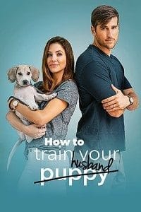 Download How to Train Your Husband (2018) Dual Audio {Hindi-English} 480p [300MB] | 720p [1GB] BluRay