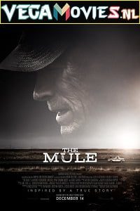 Download The Mule (2018) English With Subtitles 480p [500MB] | 720p [900MB]