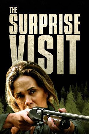 Download The Surprise Visit (2022) {English with Subtitles} Full Movie WEB-DL 480p [250MB] | 720p [700MB] | 1080p [1.7GB]
