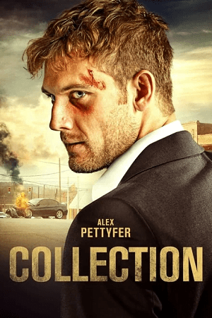 Download Collection (2021) Dual Audio {Hindi-English} 480p [315MB] | 720p [900MB] | 1080p [1.7GB] BluRay